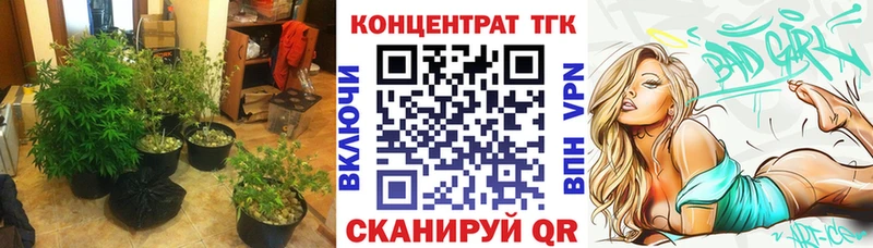 ТГК гашишное масло  Купить  Ветлуга 